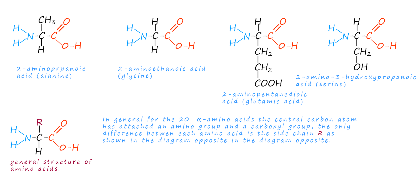 Amino acids